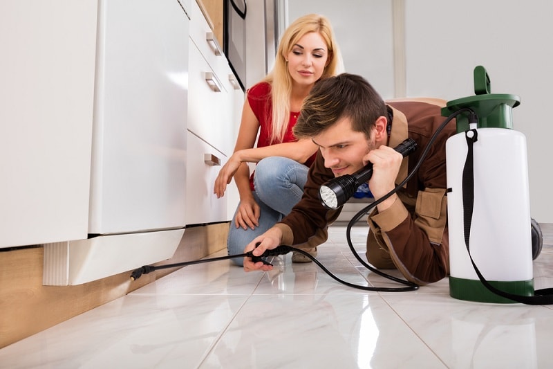 Routine Go Away Pest Control San Antonio Services Support Long Term Prevention